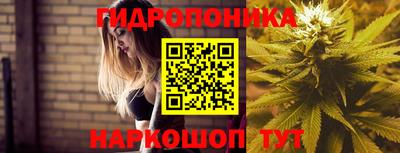 индика Чебаркуль