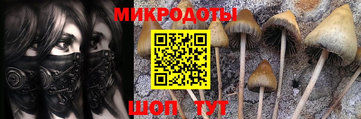 Галлюциногенные грибы Cubensis  Вход с VPN  купить закладку  Коммунар 