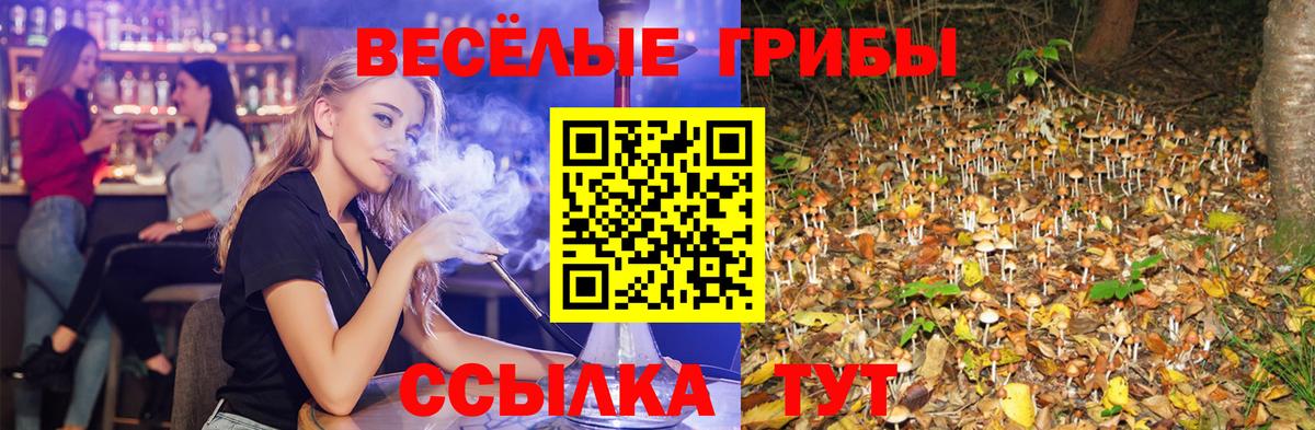 Псилоцибиновые грибы MAGIC MUSHROOMS Коммунар